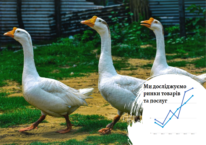 Ринок свійської птиці та продуктів переробки в Україні: ціна перемагає корисність